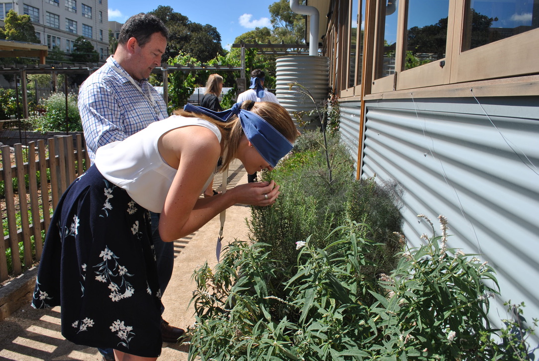 Biophilic Design Workshop | Melbourne - Living Future Institute of