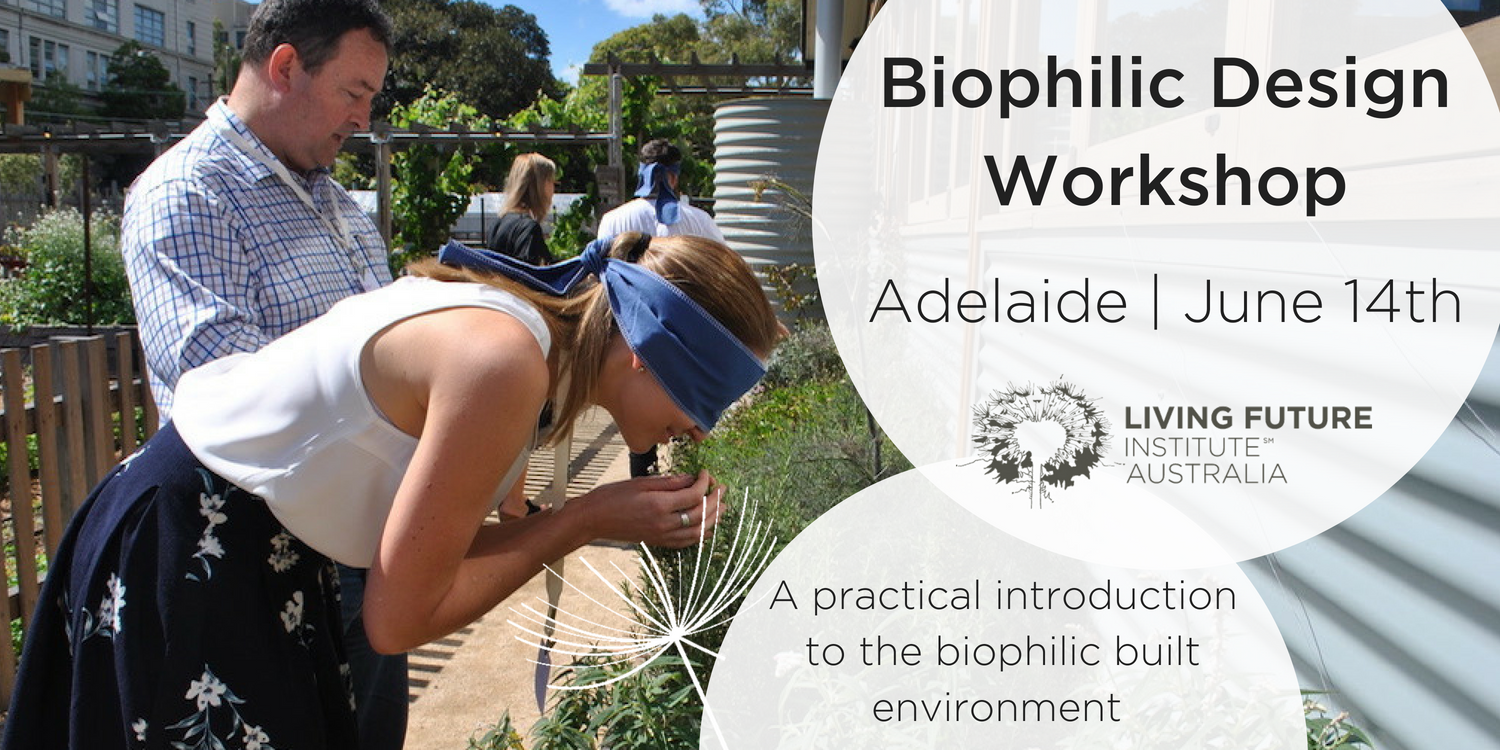 Biophilic Design Workshop: Adelaide - Living Future Institute of Australia