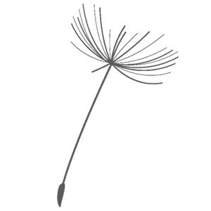 Declare seed_grey