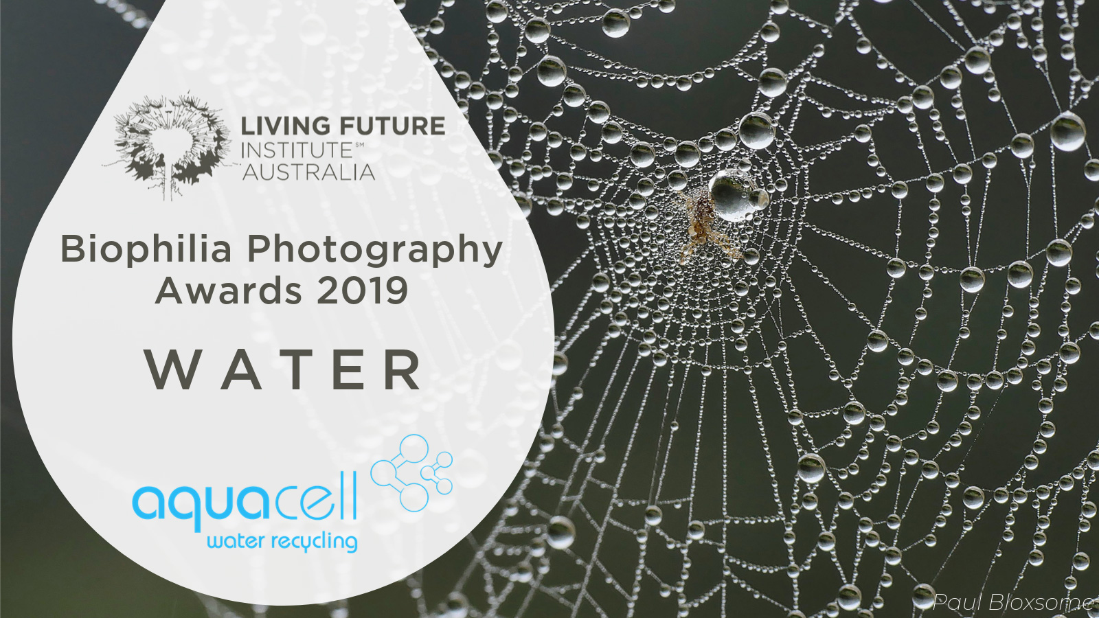 Living Future Institute Australia_Biophilia Photo Awards 2019