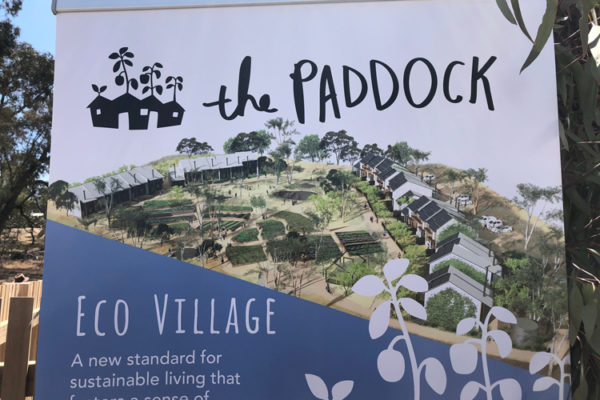 The-Paddock-Eco-Village_Launch-Banner_web